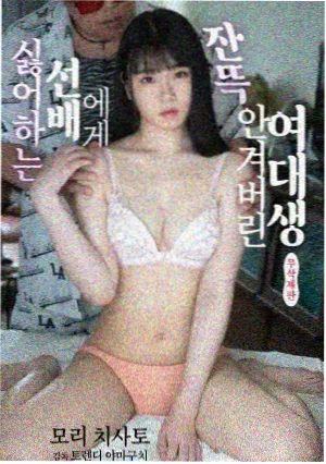 母亲的花园韩剧海报